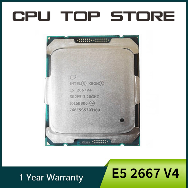 معالج Intel Xeon E5 2667 V4 26 - مراجعة Gold 6248R وسعره